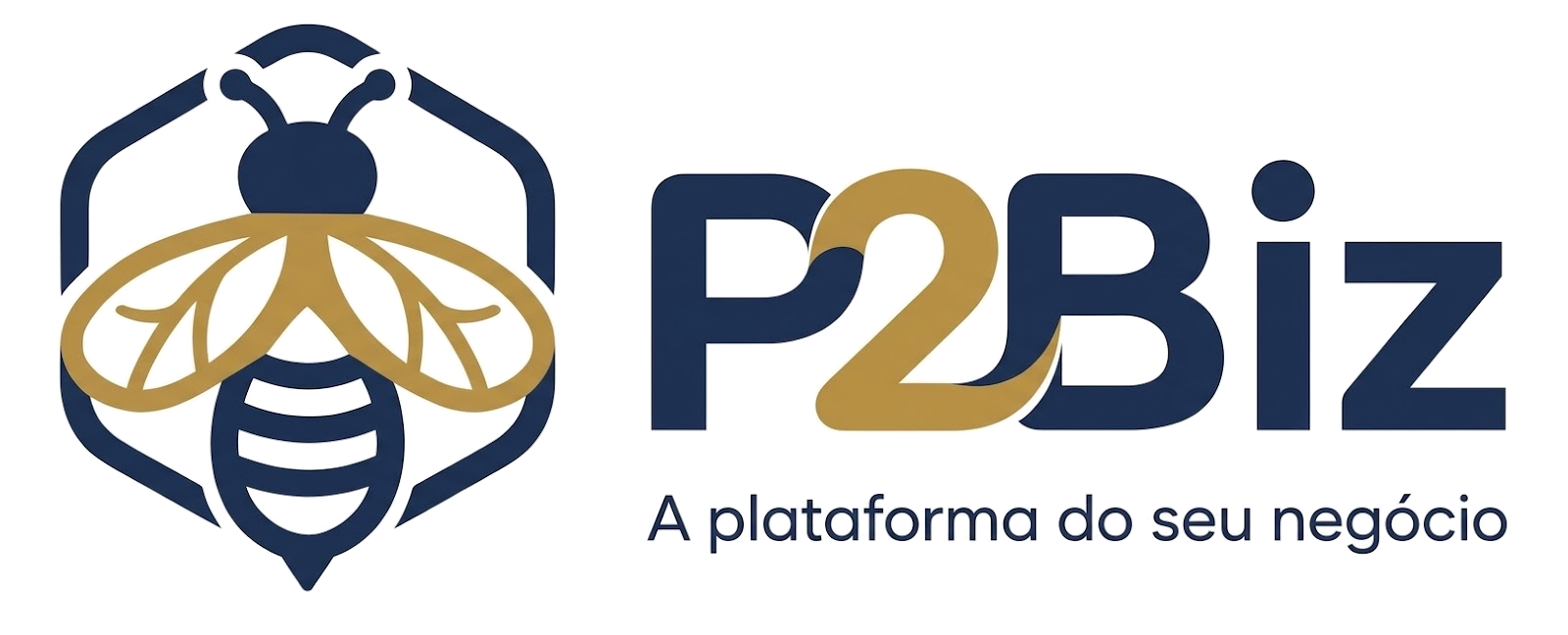 P2Biz